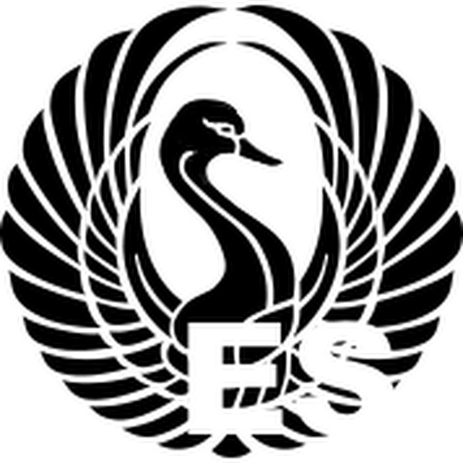 Black Swan Finances en