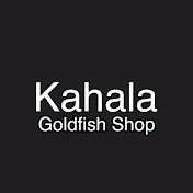 金魚 専門 店 カハラ