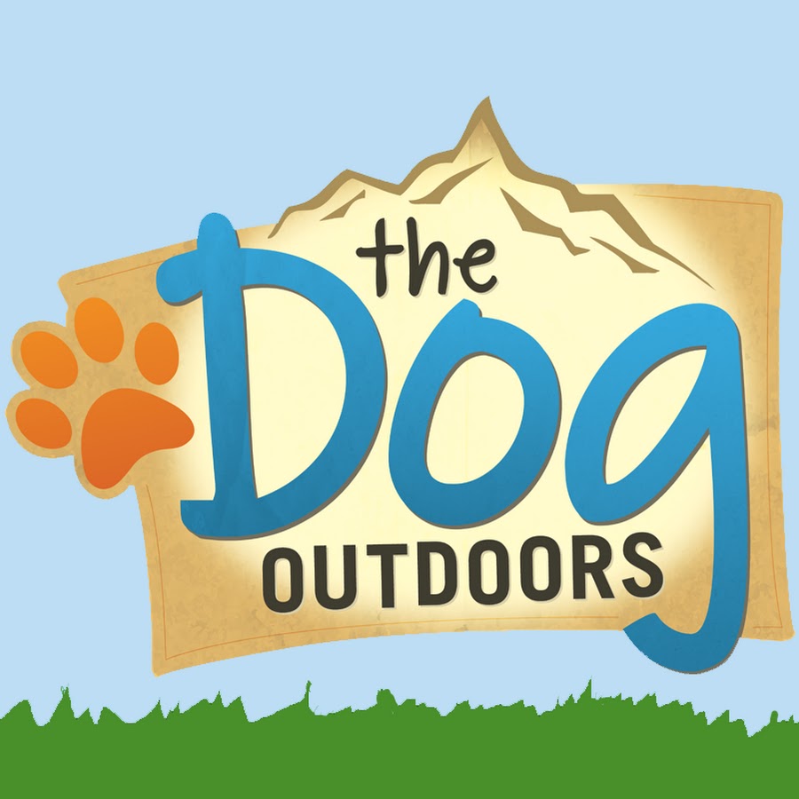 The Dog Outdoors