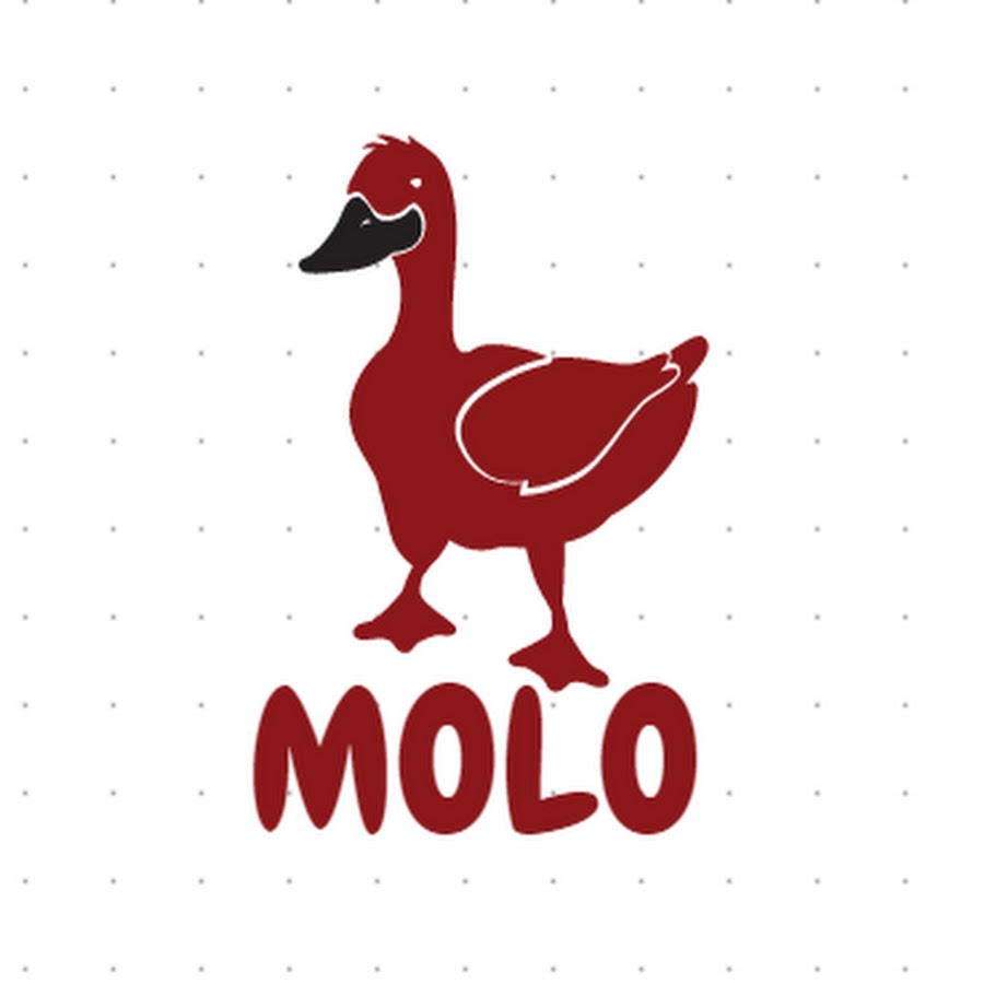 Molo YouTube channel avatar