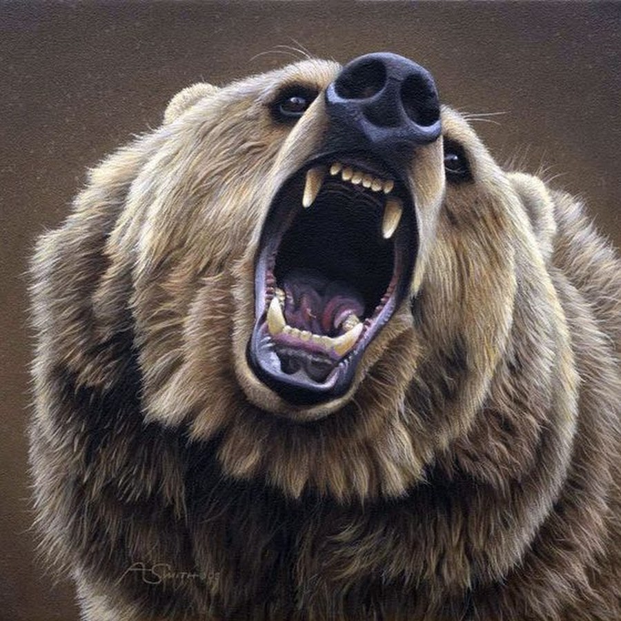 Russian Bear YouTube channel avatar
