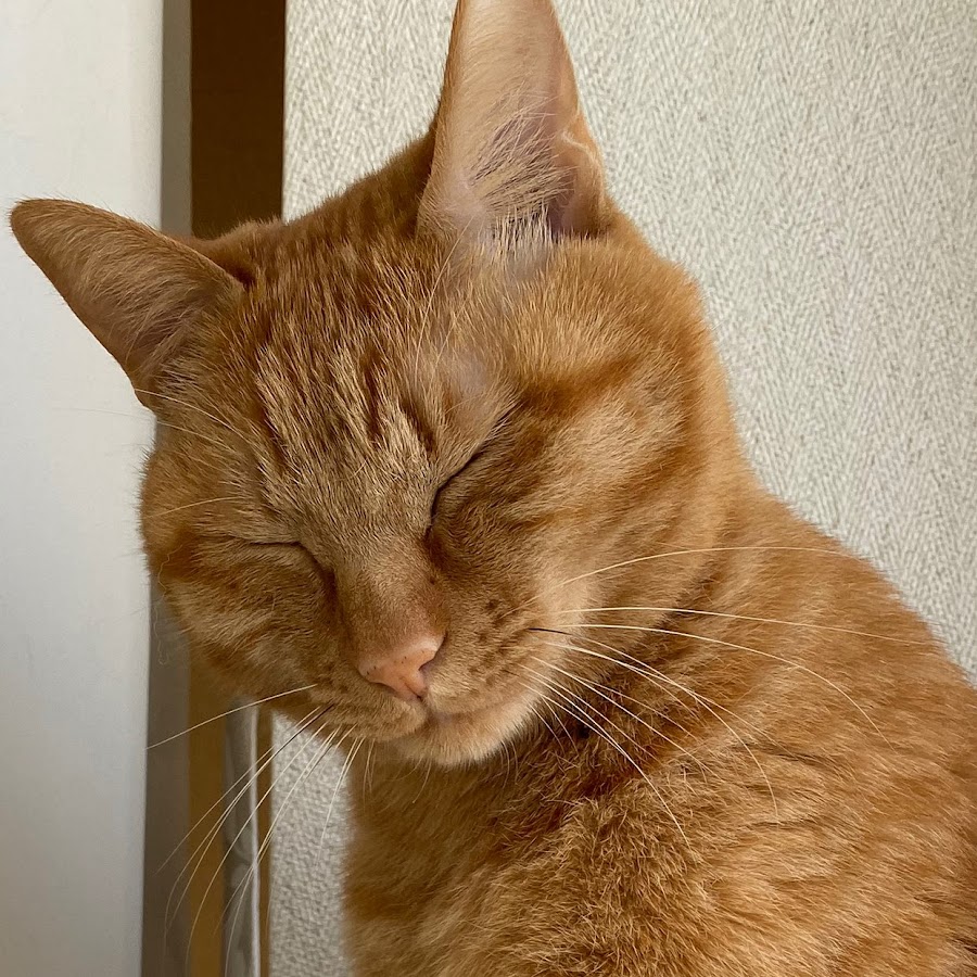 画像をダウンロード 山崎 香奈 Nyosspixyqsl