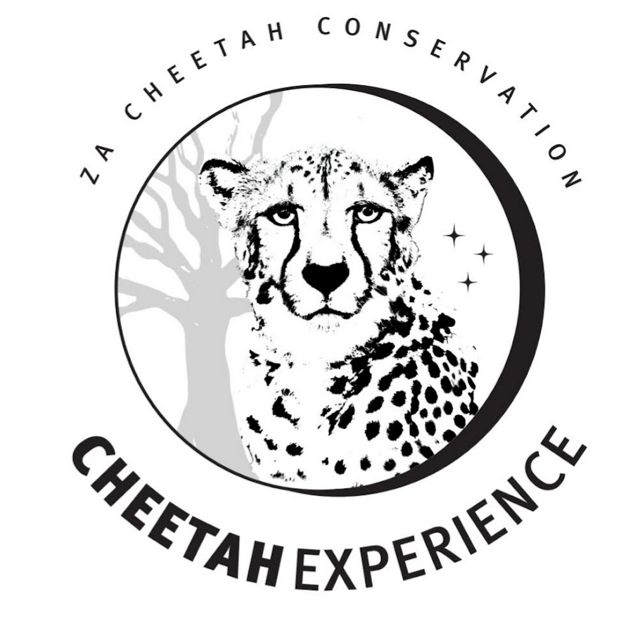 Cheetah Experience