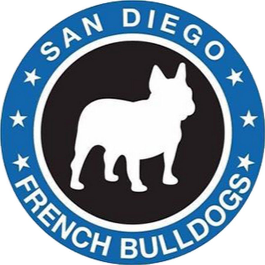 San Diego French Bulldogs YouTube channel avatar