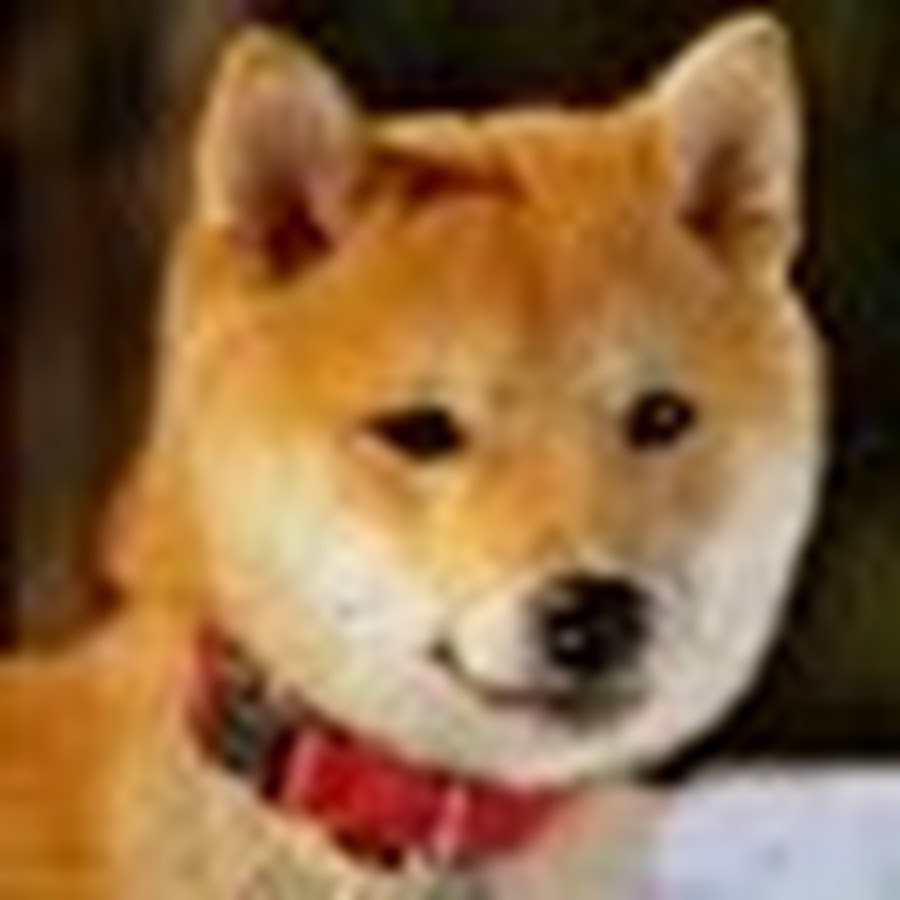 Toyotomi Hideyoshi YouTube channel avatar