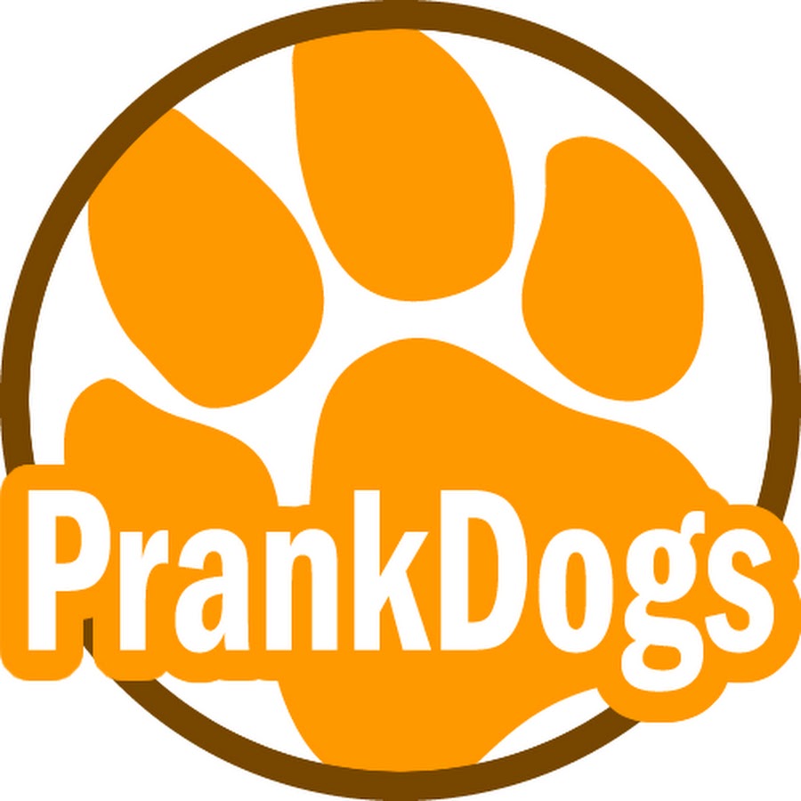 Prankdogs YouTube-Kanal-Avatar