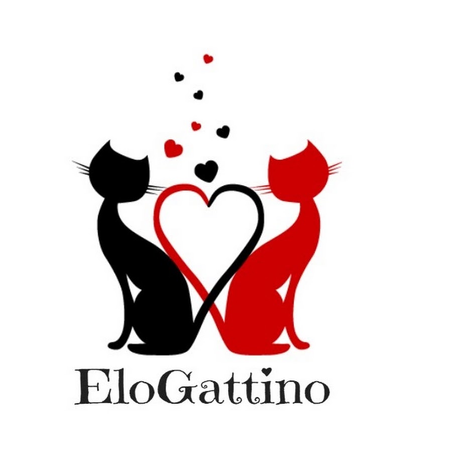 Elo Gattino YouTube channel avatar