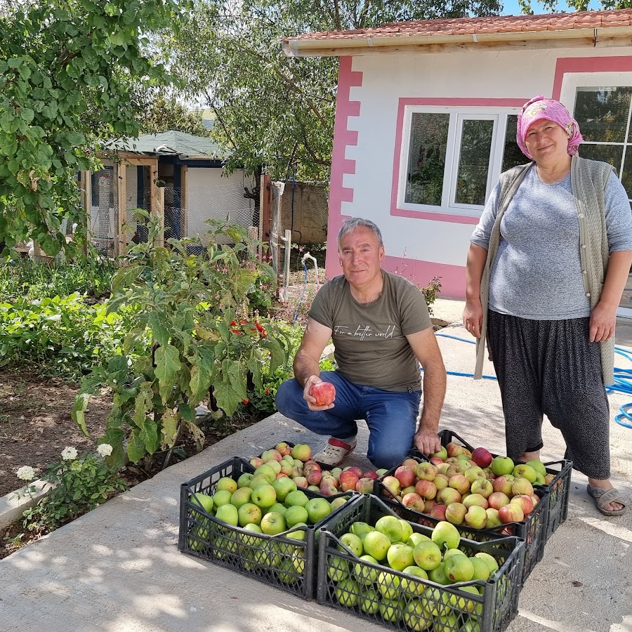 Haticenin DÃ¼nyasÄ±