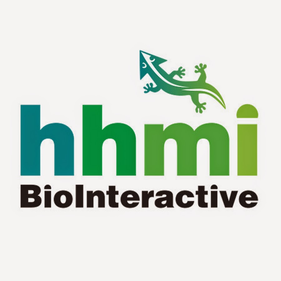 biointeractive YouTube channel avatar