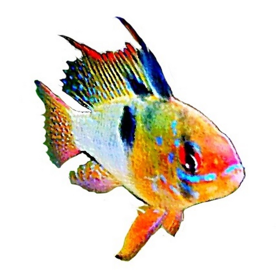 FishPie YouTube channel avatar
