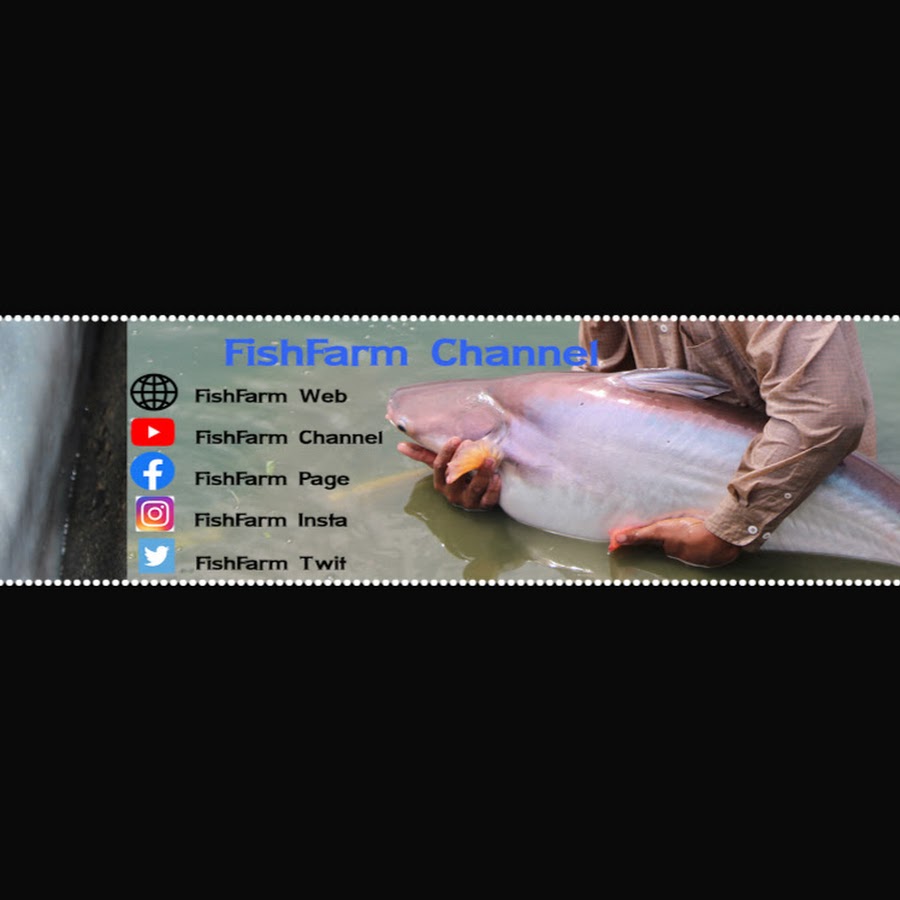 FishFarm Channel YouTube channel avatar