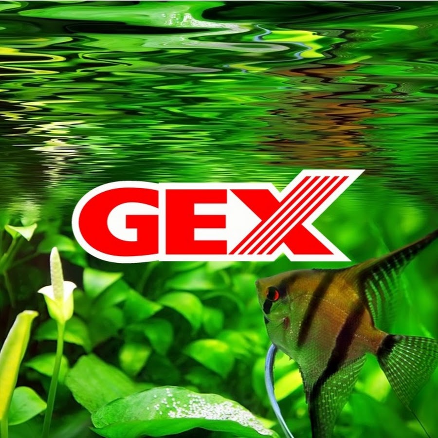 ジェックス Gex Aquarium Youtube