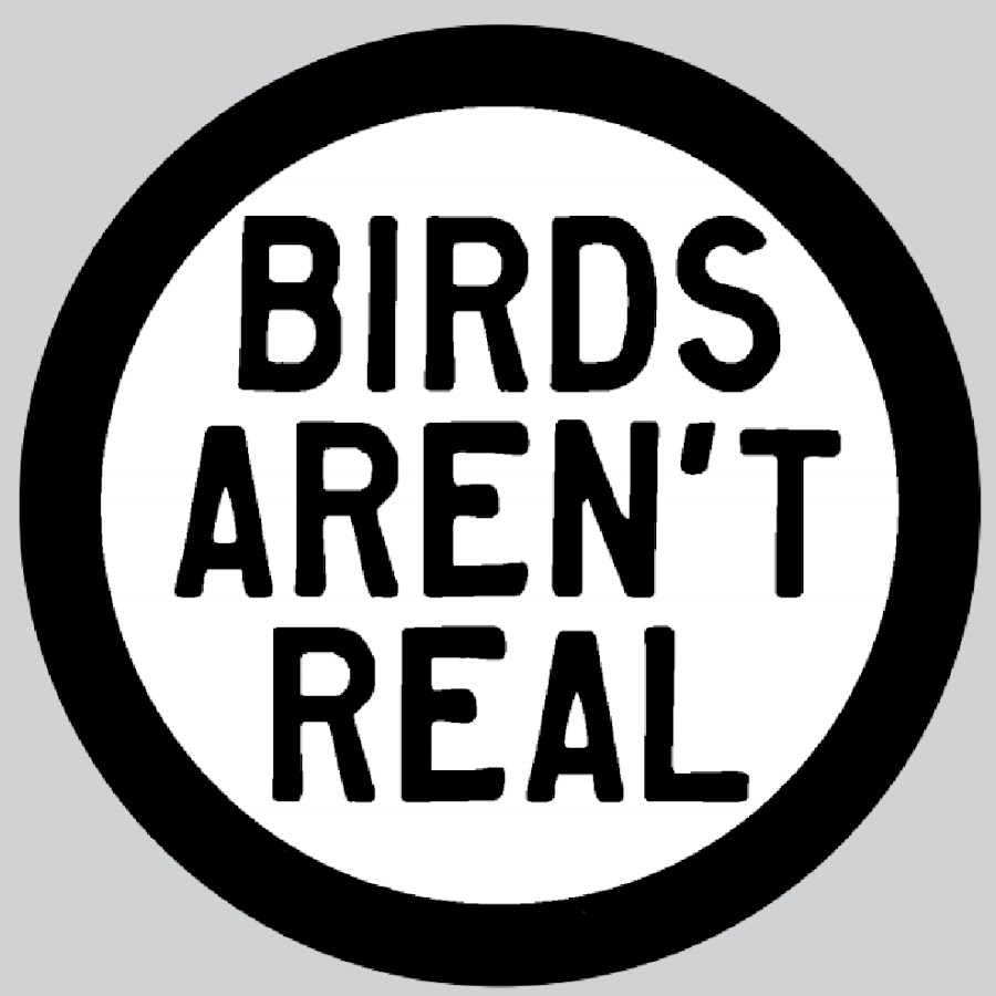 Birds Aren T Real Youtube
