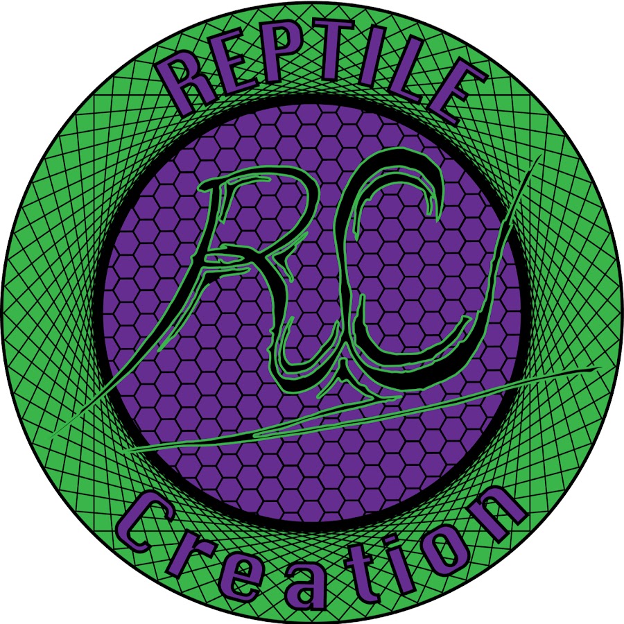 Reptile Creation