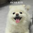 데이비드송