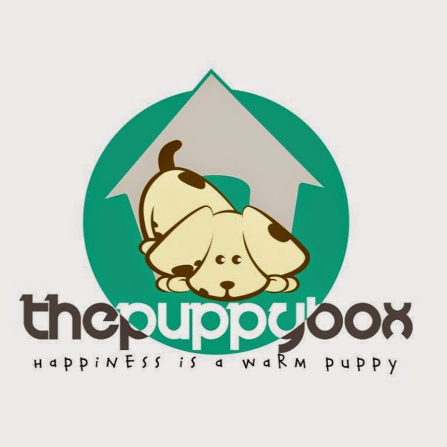 Puppy Box