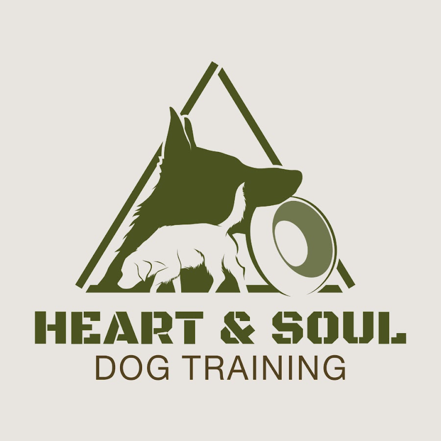 Dream Dogz - Central Florida Dog Training YouTube channel avatar