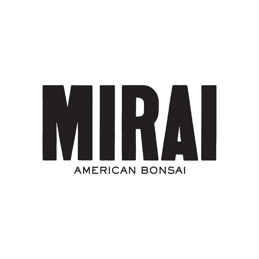 Bonsai Mirai YouTube channel avatar