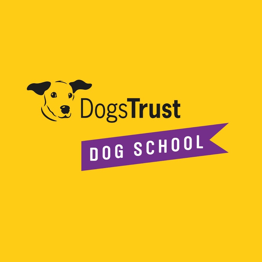 Dogs Trust Dog School ইউটিউব চ্যানেল অ্যাভাটার