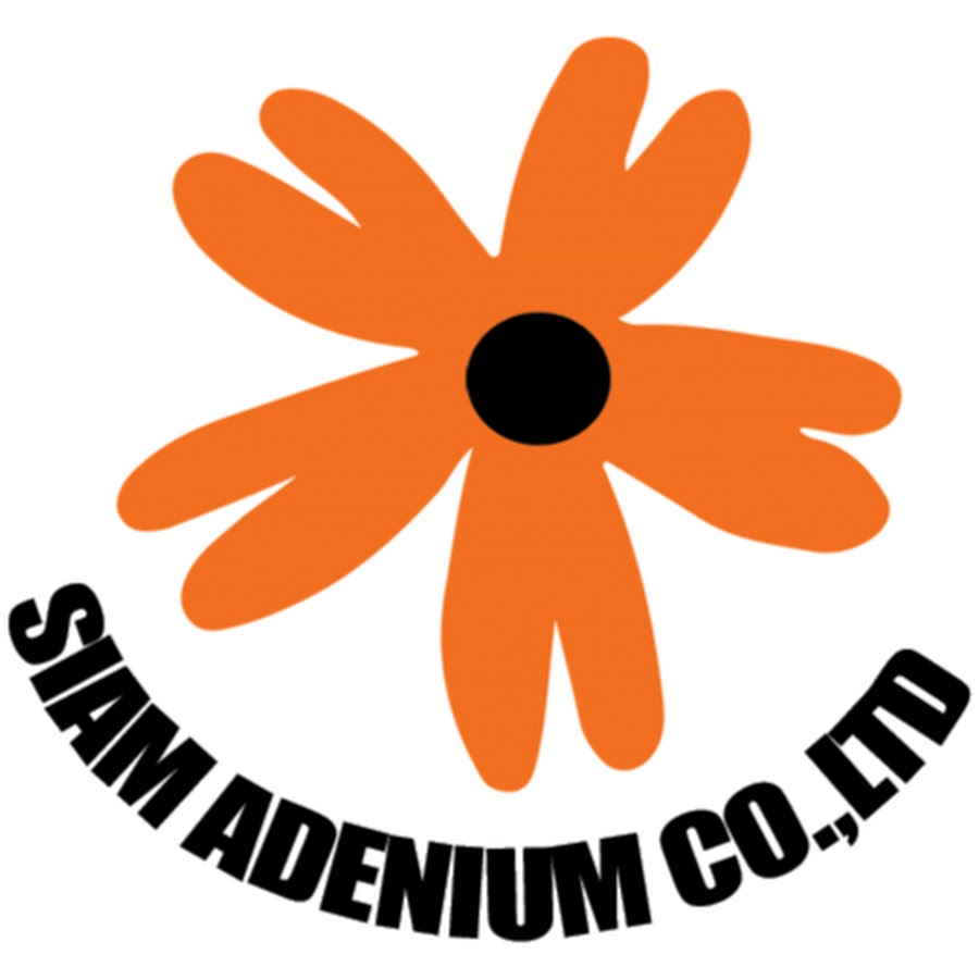 Siam Adenium YouTube channel avatar