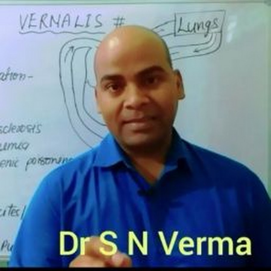Dr S N Verma Avatar canale YouTube 