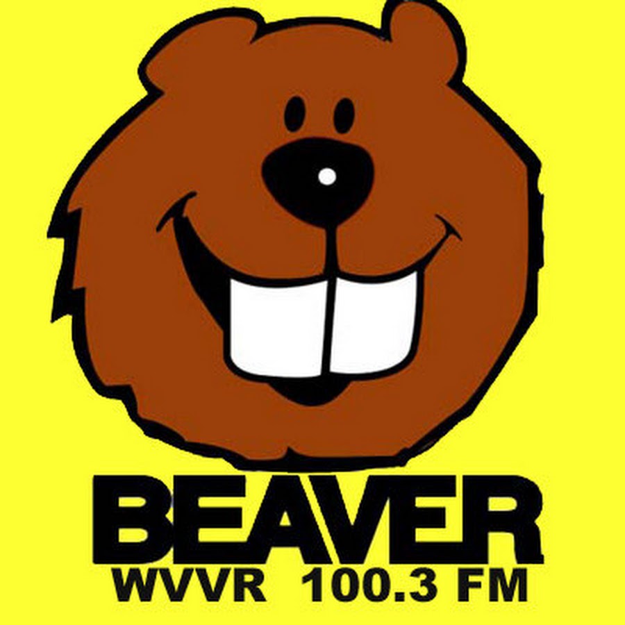 Beaver1003 رمز قناة اليوتيوب