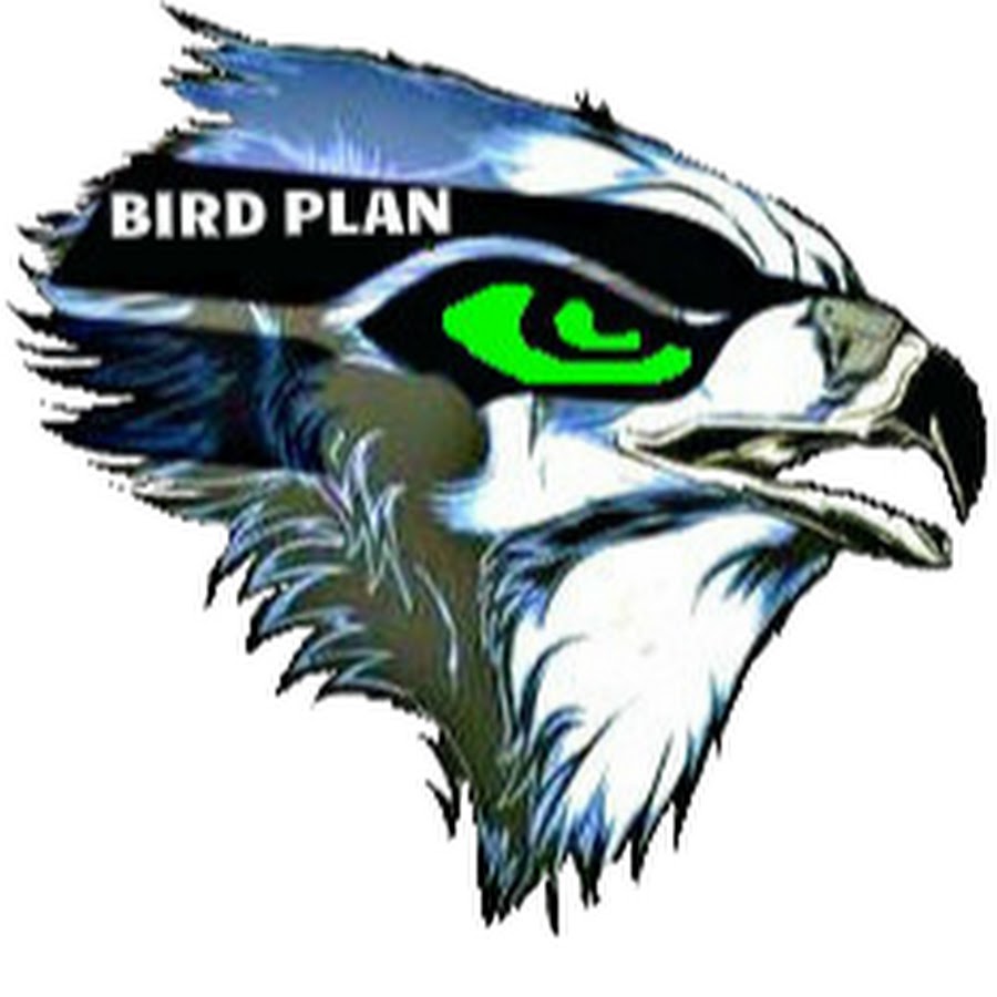 Bird Plan YouTube kanalı avatarı