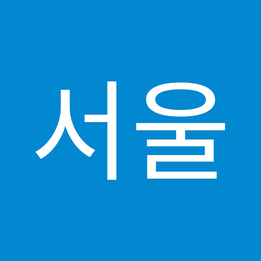 ì„œìš¸ìŒë‘¥ì´ YouTube channel avatar