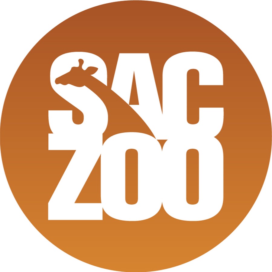 TheSacramentoZoo YouTube channel avatar