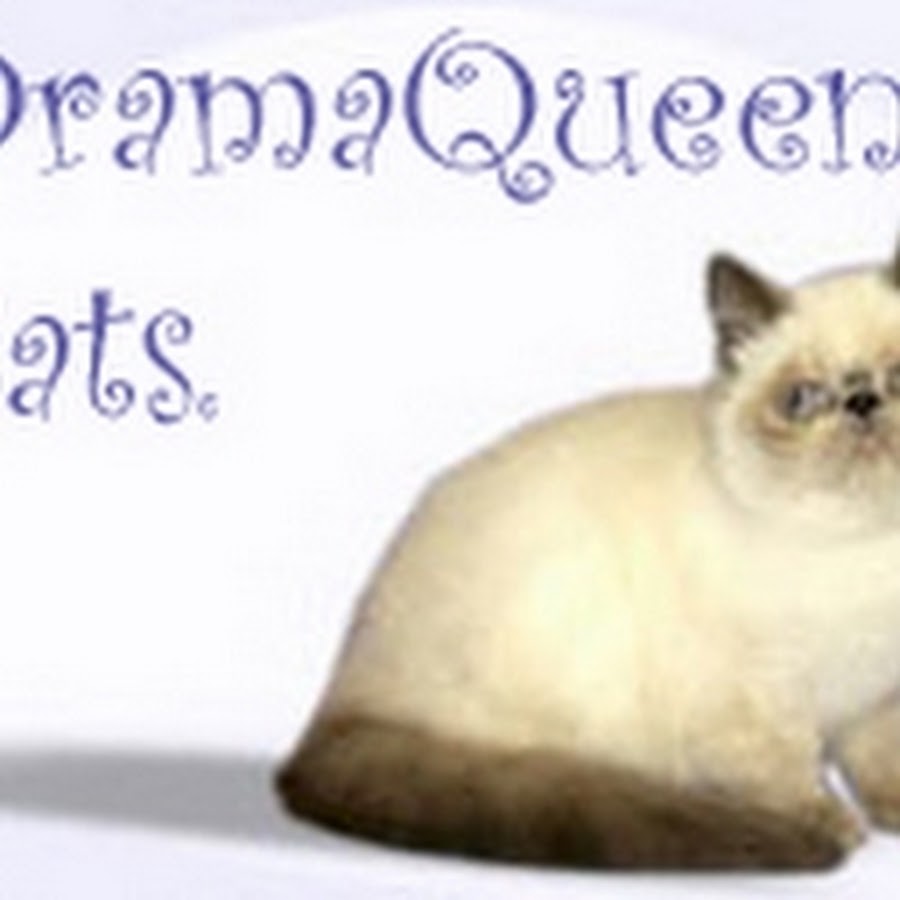 DramaqueensCats Аватар канала YouTube