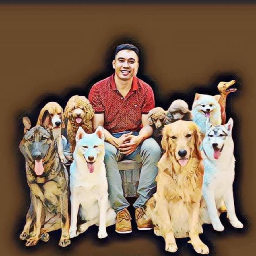 Alvin's Dog Training Secrets -DogLovers Vlog YouTube channel avatar