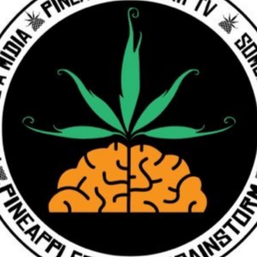 Pineapple StormTV YouTube channel avatar