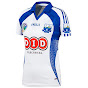 Waterford Camogie Official
