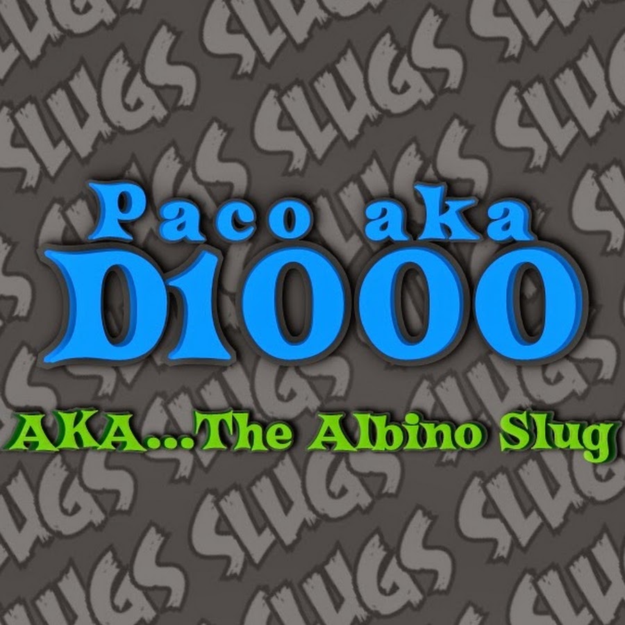 Paco aka D1000 رمز قناة اليوتيوب