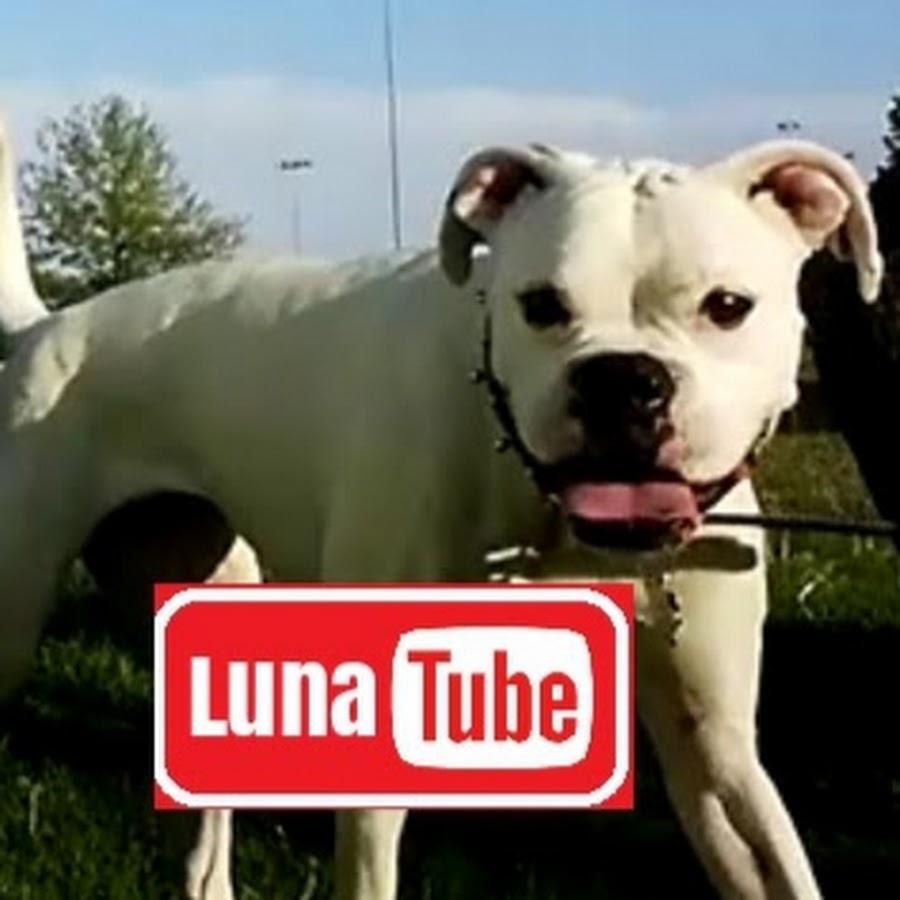 Luna Tube