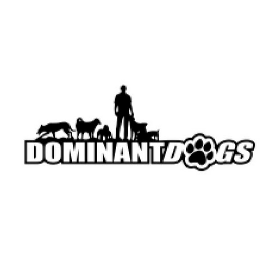 Dominant Dogs ইউটিউব চ্যানেল অ্যাভাটার