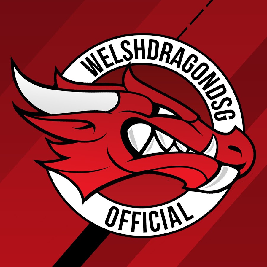 WelshDragonDSG YouTube channel avatar