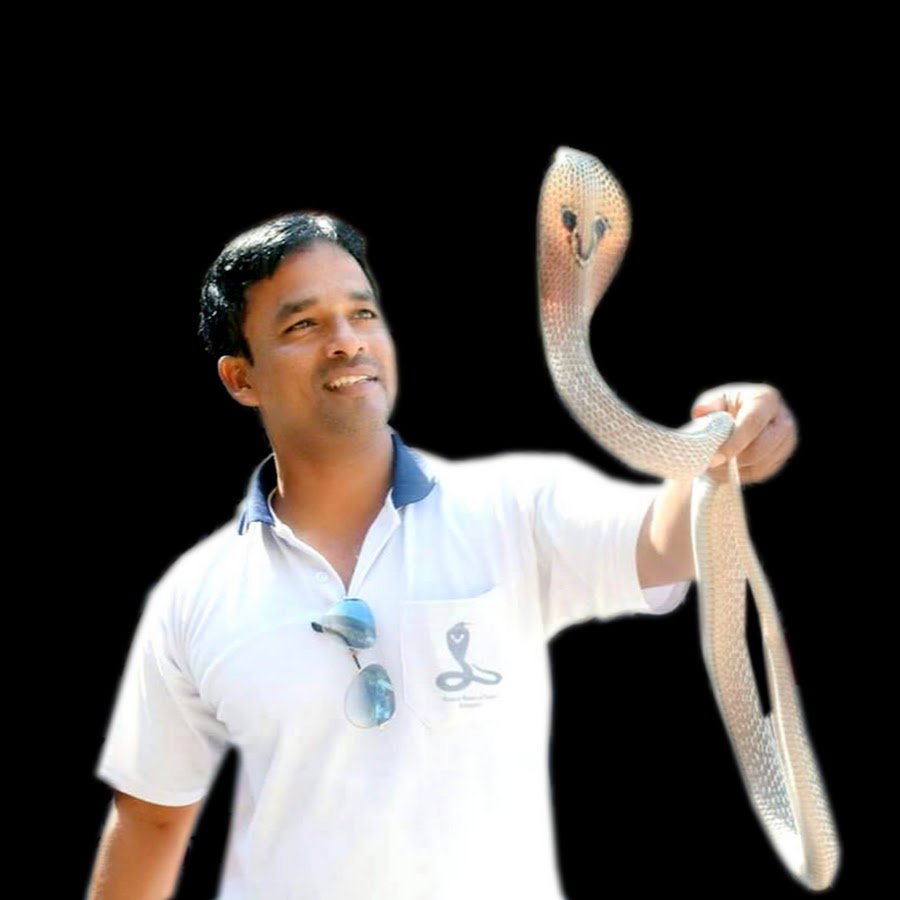 Kamal Choudhary Snake Rescue Team Bilaspur YouTube-Kanal-Avatar