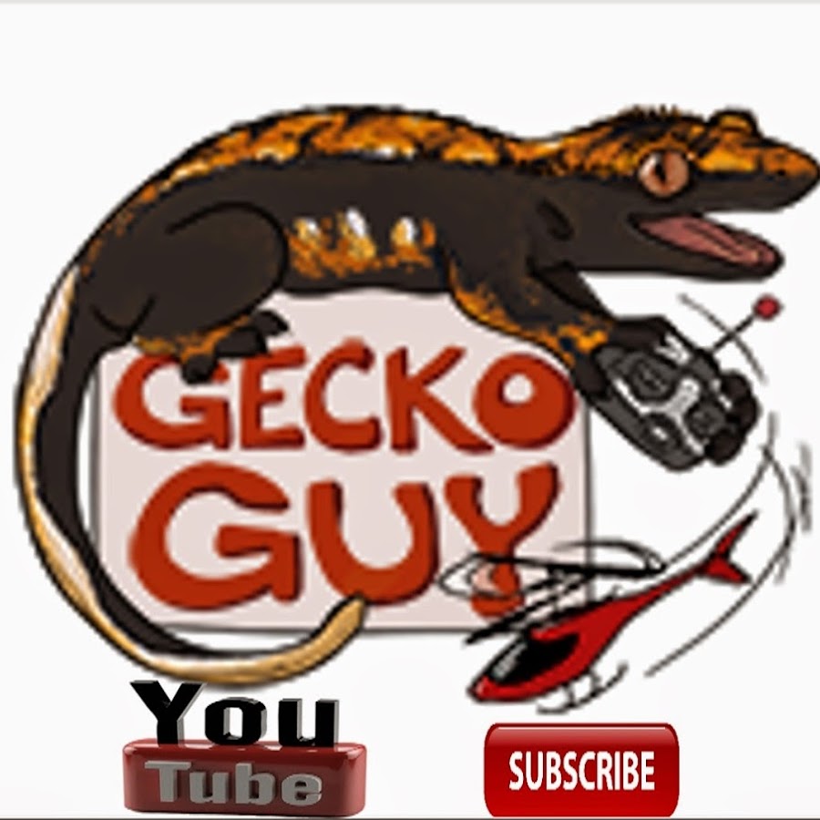 GeckoGuy