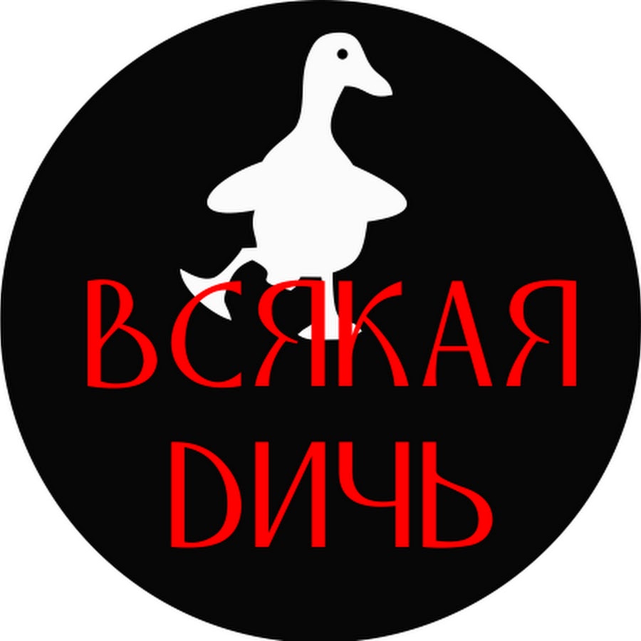 Дичи Одежда Магазины В Москве