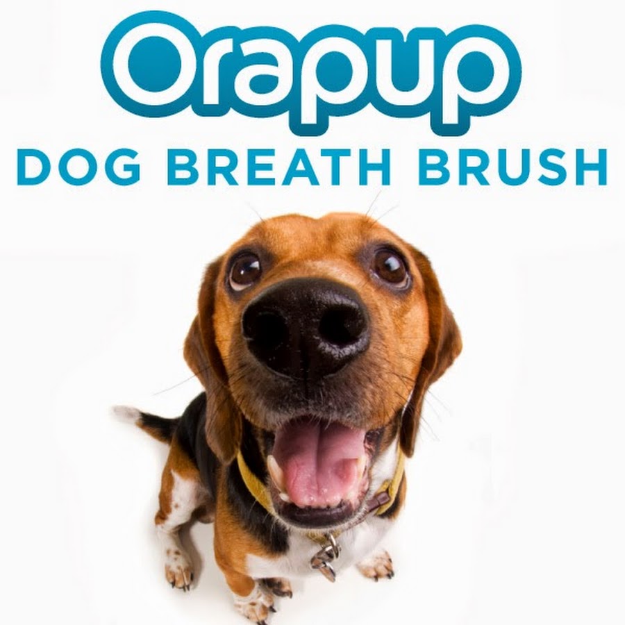 orapup Avatar de chaîne YouTube