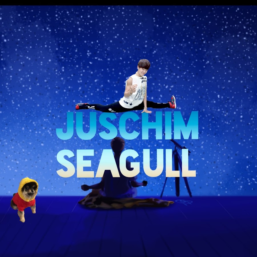 Juschim Seagull رمز قناة اليوتيوب