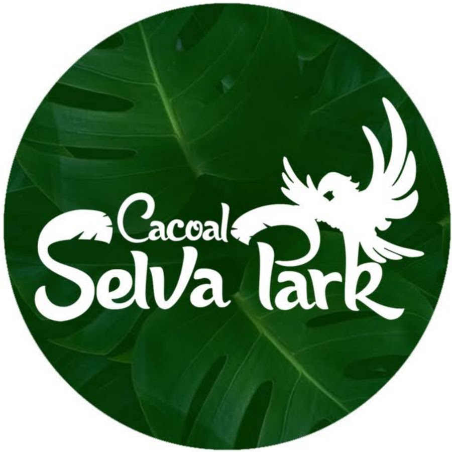 Cacoal Selva Park Youtube