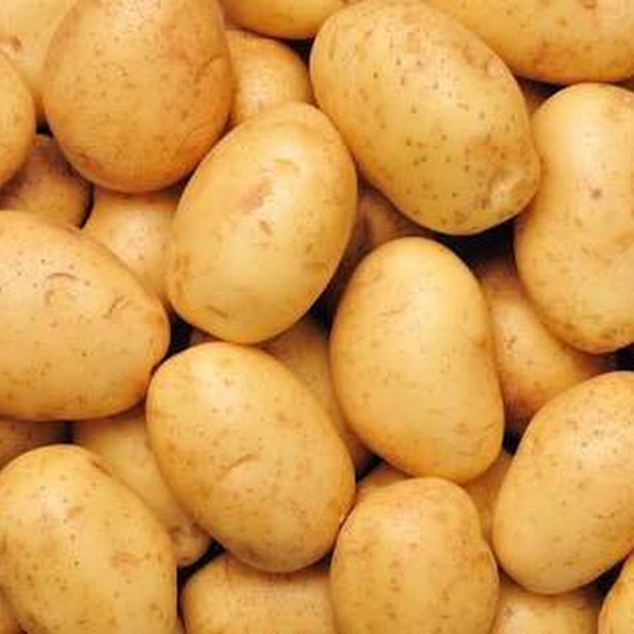 Sticky Potatoes رمز قناة اليوتيوب