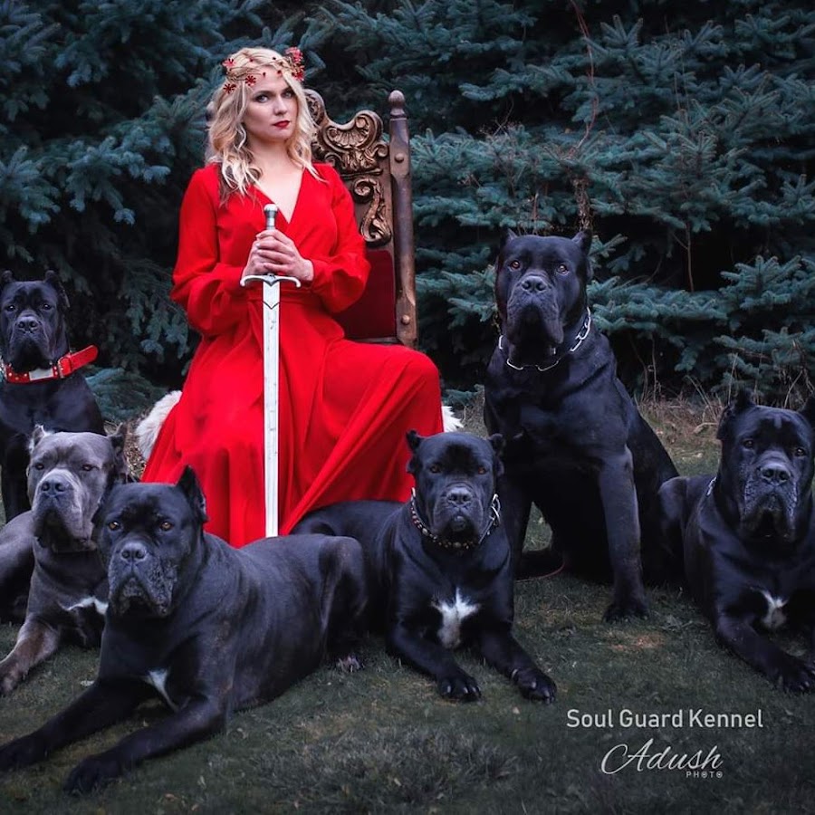 Soul Guard kennel Cane corso YouTube channel avatar