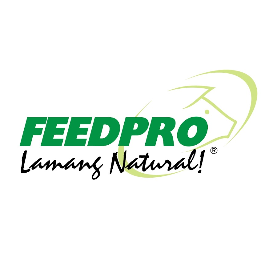 FeedproTV YouTube channel avatar