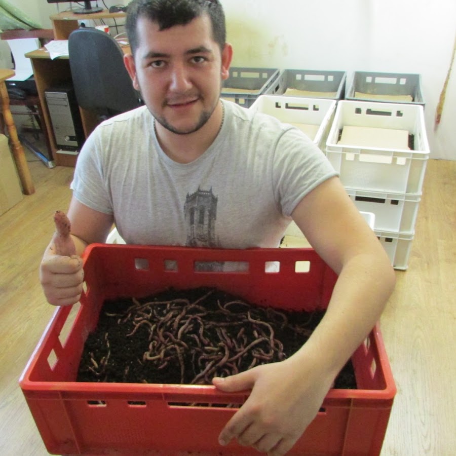 Чем заработать на дому мужчине. Чем заработать на дому мужчине. Мини производство на дому. Чем заработать на дому мужчине. Мини бизнес на дому.