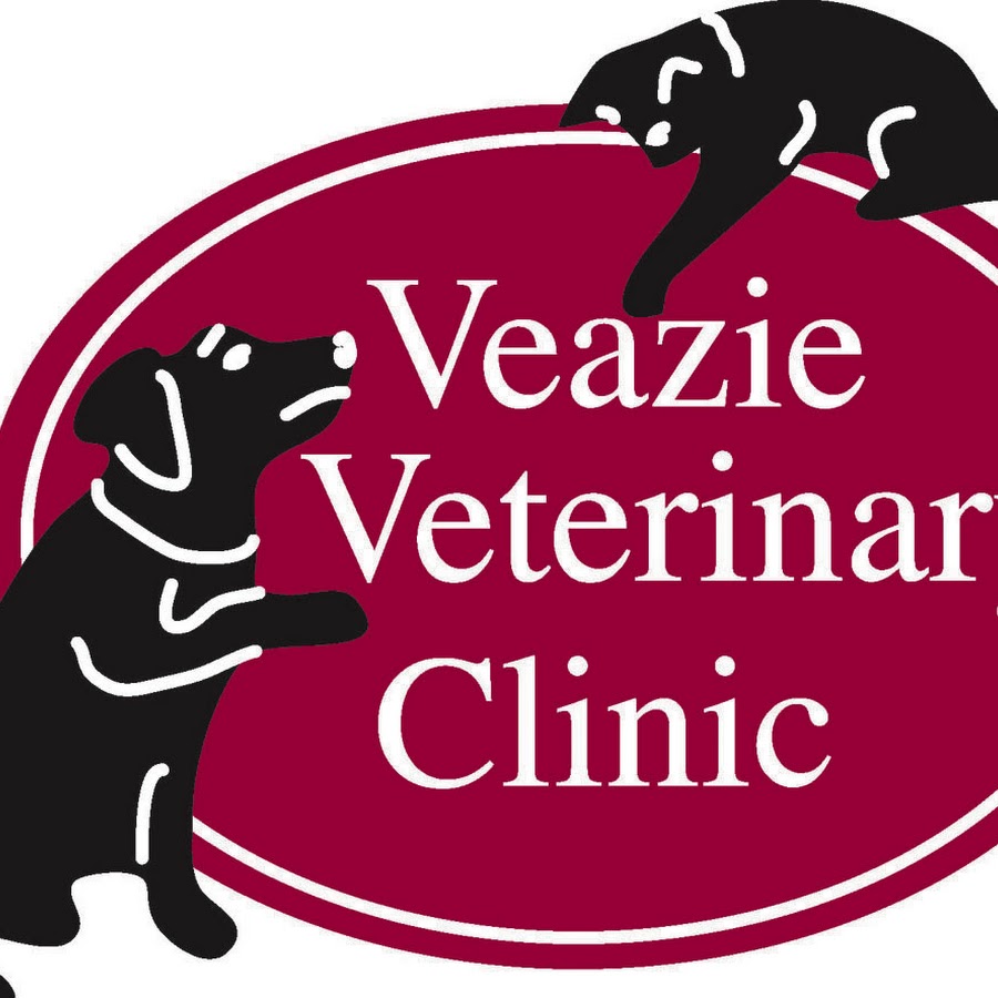 Veazie Veterinary Clinic YouTube channel avatar