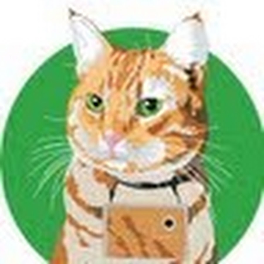 Cooper Cat YouTube channel avatar