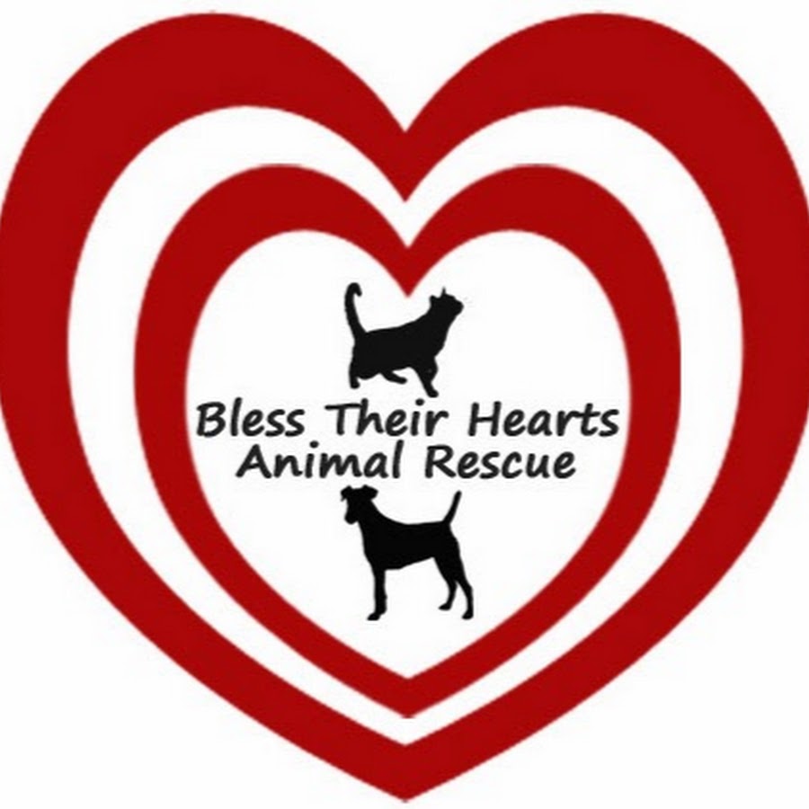 Bless Their Hearts Animal Rescue رمز قناة اليوتيوب